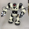 Robot R24 - Image 2