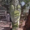 SARKO1 - Image 2