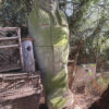 SARKO1 - Image 3